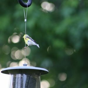 Meet your Posher, Olga